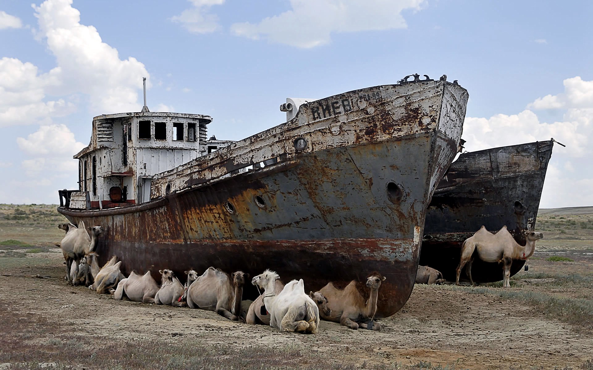 Aral Sea rusting ships (Photo: toritto.wordpress.com)